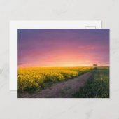 Roze hemel 's nachts briefkaart (Voorkant / Achterkant)