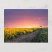 Roze hemel 's nachts briefkaart (Voorkant)