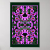 Roze Herfst Aster Flowers Orton Abstract Poster (Voorkant)