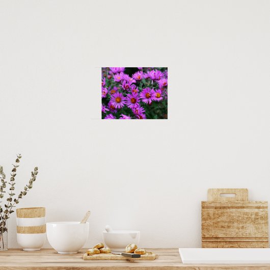 Roze herfst Aster Flowers Orton Effect Poster (Keuken)