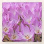 Roze Herfst Crocus Bloeit Bloemen Glazen Onderzetter (Voorkant)