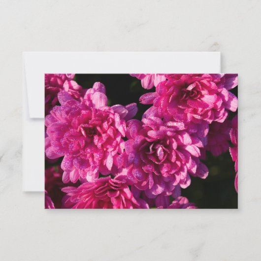 Roze Herfst Mums Notitiekaartje (Voorkant)
