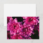 Roze Herfst Mums Notitiekaartje (Voorkant / Achterkant)