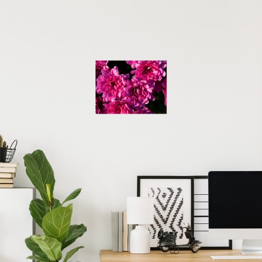 Roze herfst Mums Poster (Thuiskantoor)