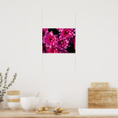 Roze herfst Mums Poster (Keuken)