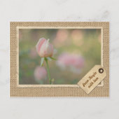 Roze herfst Roos Bud  Lijst papier Briefkaart (Voorkant)