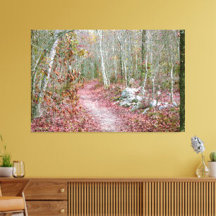 Roze herfstbladeren Geitenrots Trail Arkansas Canvas Afdruk