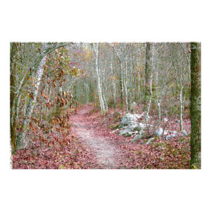 Roze herfstbladeren Geitenrots Trail Arkansas Foto Afdruk