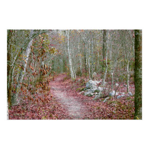 Roze herfstbladeren Geitenrots Trail Arkansas Perfect Poster