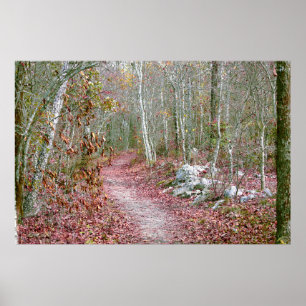 Roze herfstbladeren Geitenrots Trail Arkansas Poster