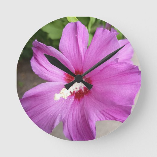 Roze Hibiscus Bloem Bloem Rond Wandklok (Voorkant)