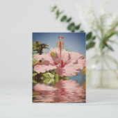 Roze hibiscus bloem boven water briefkaart (Staand voorkant)