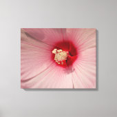 Roze Hibiscus Bloem Close-up Foto Enkele Print (Voorkant)
