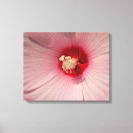 Roze Hibiscus Bloem Close-up Foto Enkele Print