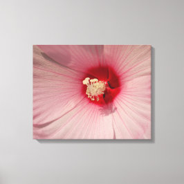 Roze Hibiscus Bloem Close-up Foto Enkele Print