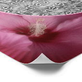 Roze Hibiscus Bloem Frame Maak Je Eigen Foto Poster (Hoek)