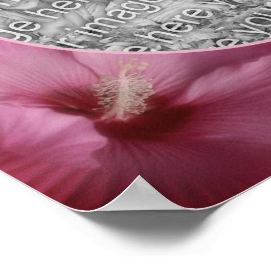 Roze Hibiscus Bloem Frame Maak Je Eigen Foto Poster (Hoek)