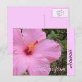Roze hibiscus bloem Hawaii begroeting briefkaart (Voorkant / Achterkant)