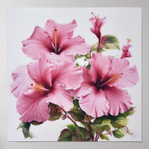 Roze Hibiscus Bloem Kunstprint Poster