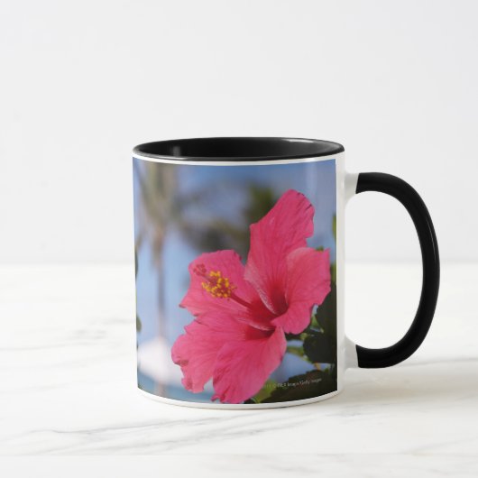 Roze hibiscus-bloem mok (Rechts)