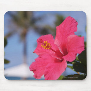 Roze hibiscus-bloem muismat