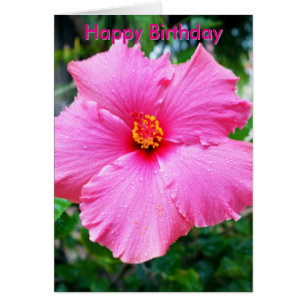 Roze Hibiscus Bloem Regen Spetters, Verjaardagskaa