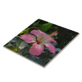 Roze Hibiscus-bloem Tegeltje (Zijkant)