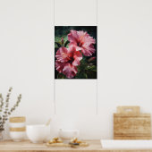 Roze Hibiscus Bloemen Art Print Poster (Keuken)
