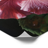 Roze Hibiscus Bloemen Art Print Poster (Hoek)
