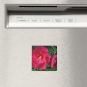 Roze hibiscus bloemen magneet (Insitu (Vaatwasser))