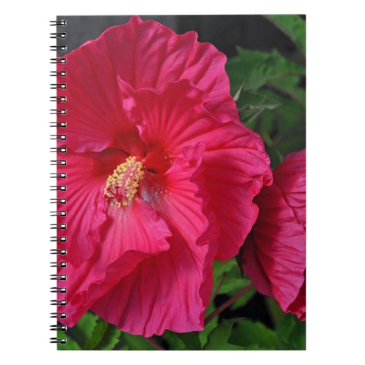 Roze hibiscus bloemen notitieboek (Voorkant)