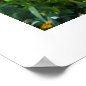 Roze Hibiscus bloemen Poster (Hoek)