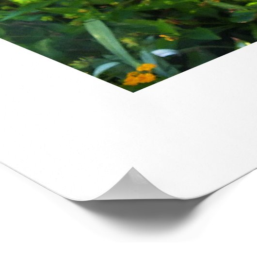 Roze Hibiscus bloemen Poster (Hoek)