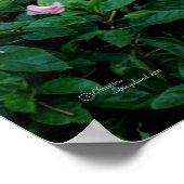 Roze Hibiscus bloemenboom Poster (Hoek)