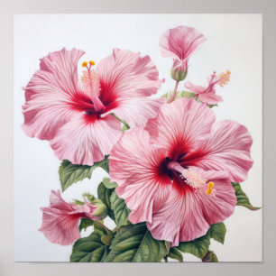 Roze Hibiscus Bloemenkunst Print Poster