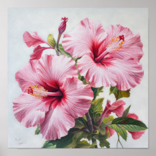Roze Hibiscus Bloemenkunst Print Poster