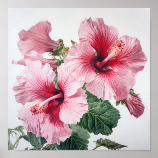 Roze Hibiscus Bloemenkunst Print Poster (Voorkant)