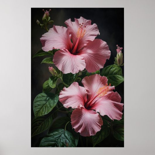 Roze Hibiscus Bloemenkunst Print Poster (Voorkant)
