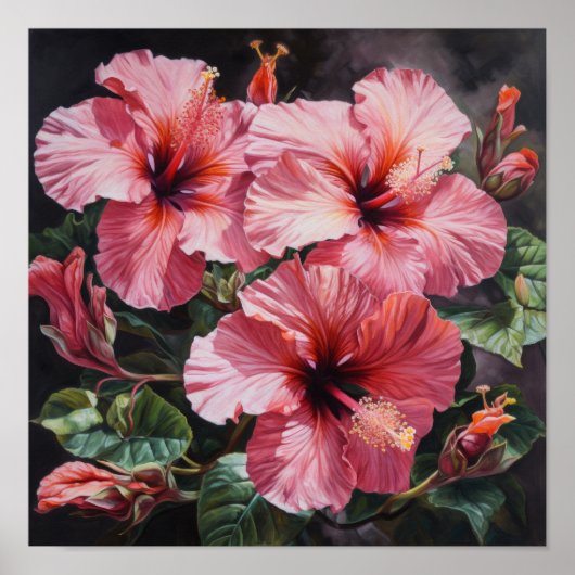 Roze Hibiscus Bloemenkunst Print Poster (Voorkant)