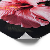 Roze Hibiscus Bloemenkunst Print Poster (Hoek)