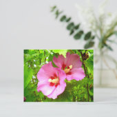 Roze Hibiscus briefkaart (Staand voorkant)