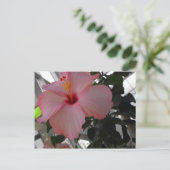 Roze Hibiscus Briefkaart (Staand voorkant)