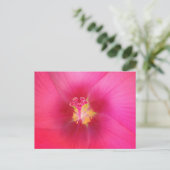 Roze Hibiscus Briefkaart (Staand voorkant)