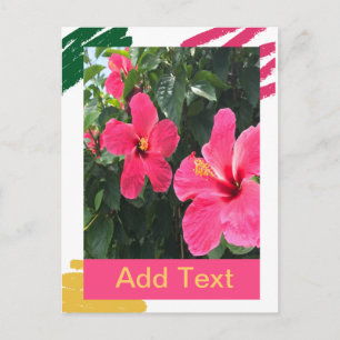 Roze Hibiscus Briefkaart