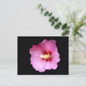 Roze Hibiscus Briefkaart (Staand voorkant)