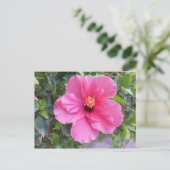 Roze Hibiscus briefkaart, pas aan Briefkaart (Staand voorkant)