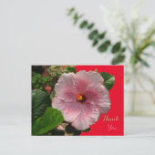 Roze Hibiscus Dank Je Postkaart (Staand voorkant)