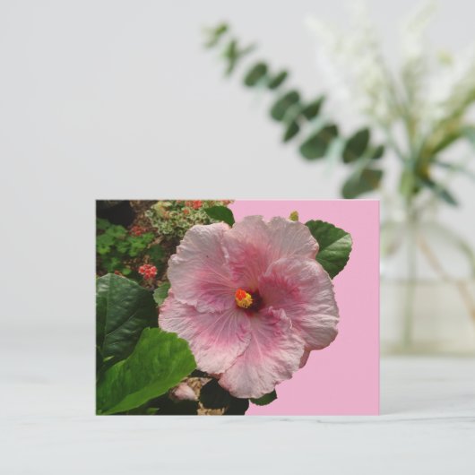 Roze Hibiscus DIY Briefkaart (Staand voorkant)