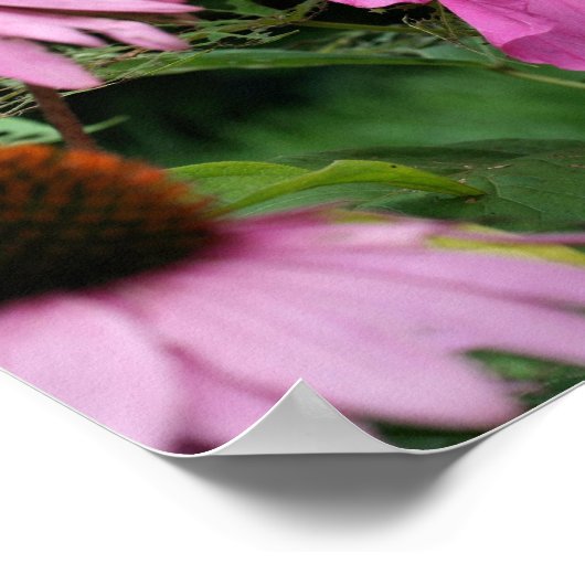 Roze hibiscus en bloementuin vrienden poster (Hoek)