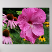 Roze hibiscus en bloementuin vrienden poster (Voorkant)